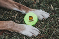 KOP Tennis Ball