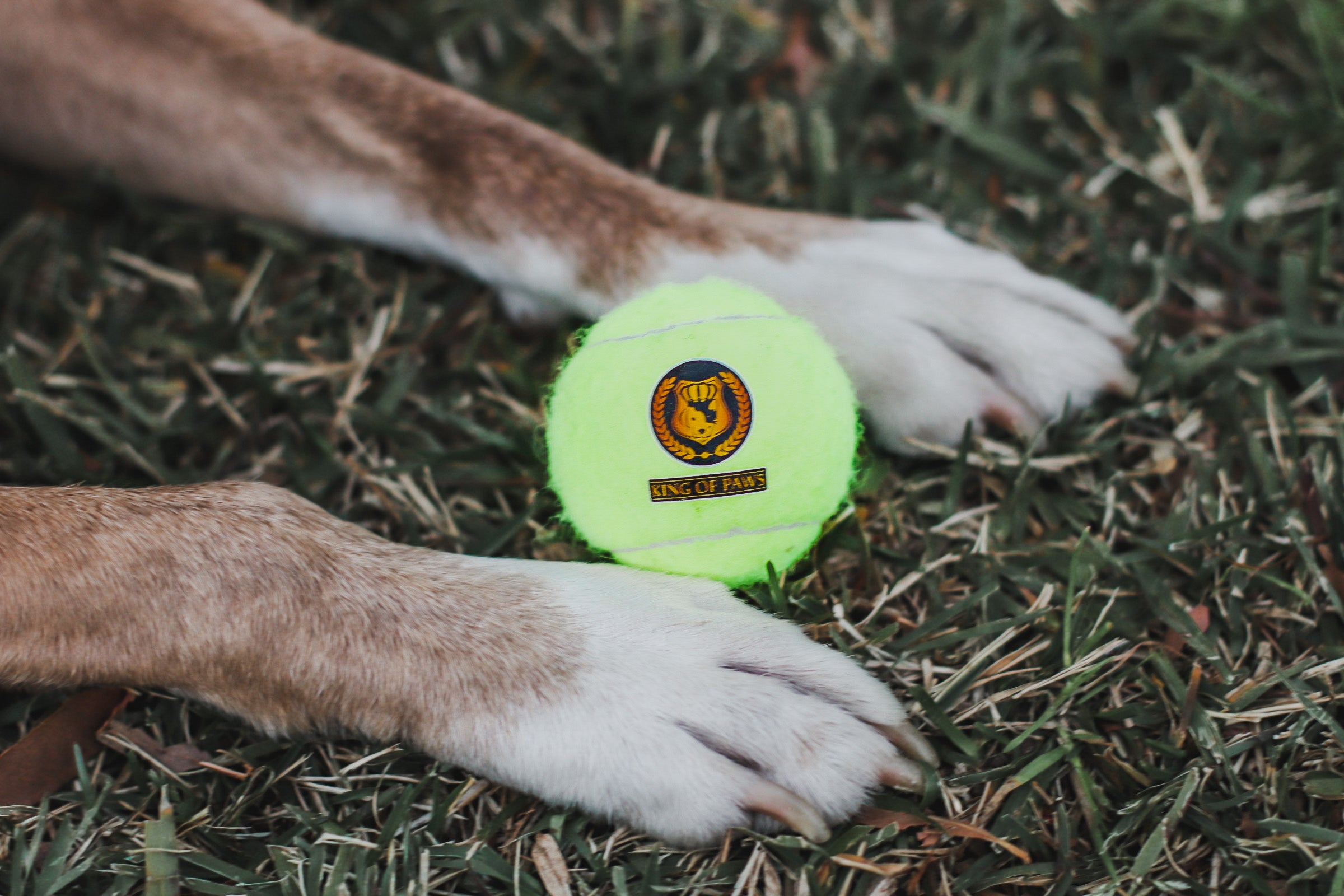 KOP Tennis Ball