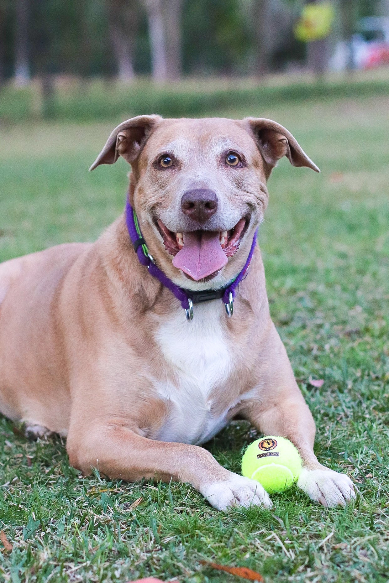 KOP Tennis Ball
