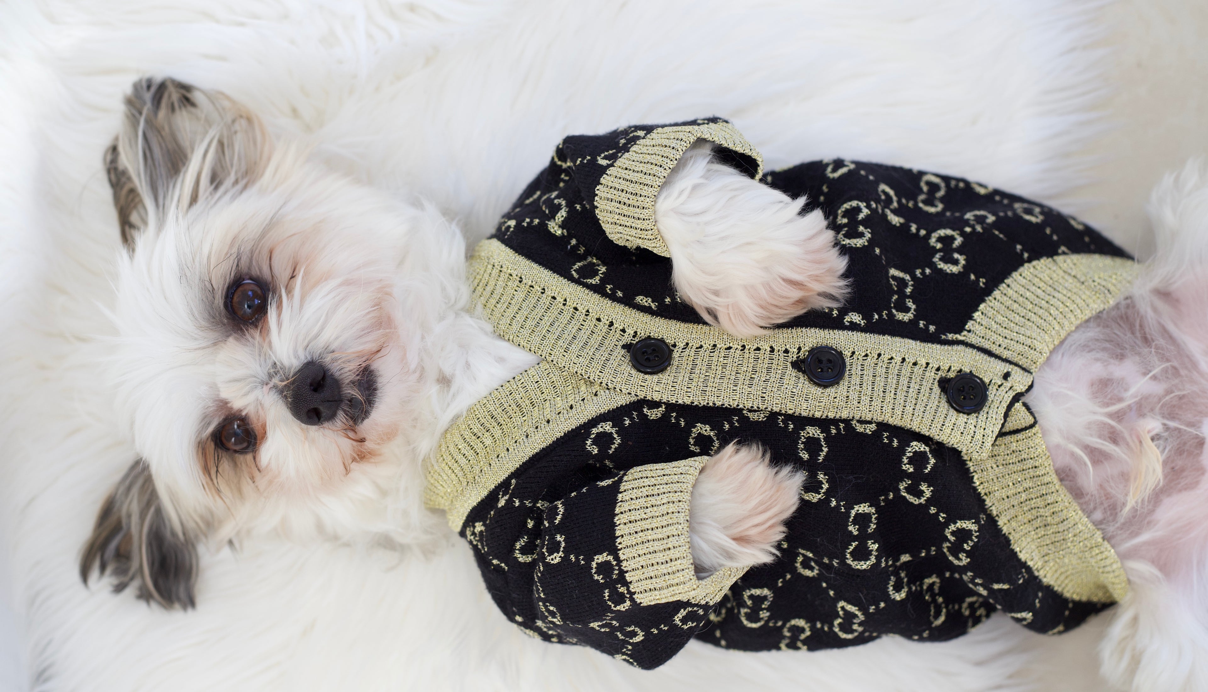 Pucchi Cardigan