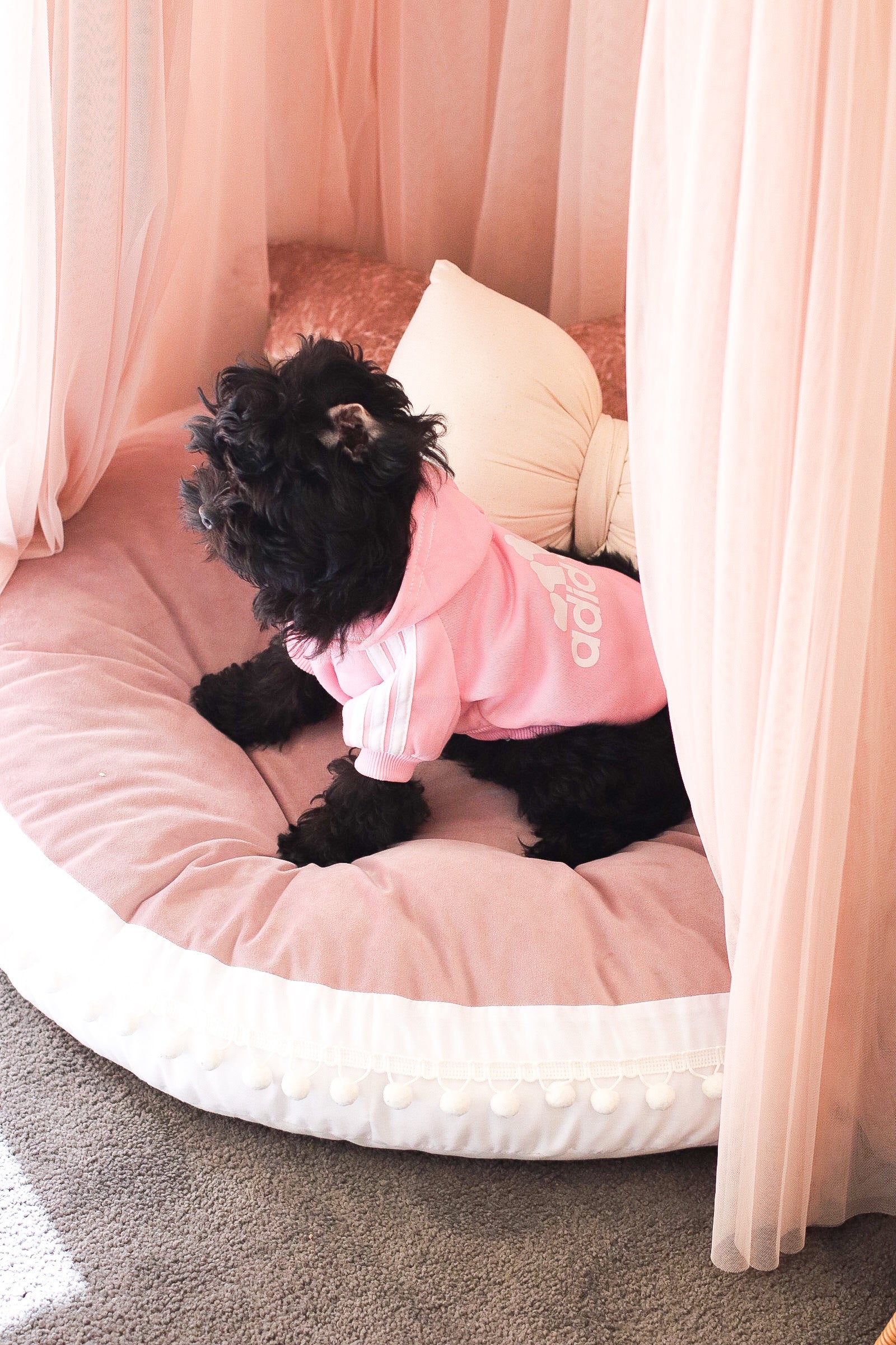 Adidog Hoodie