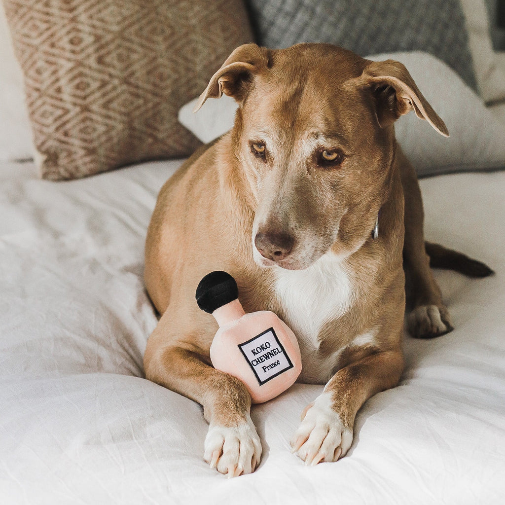 Koko Chewnel Pawfume Toy