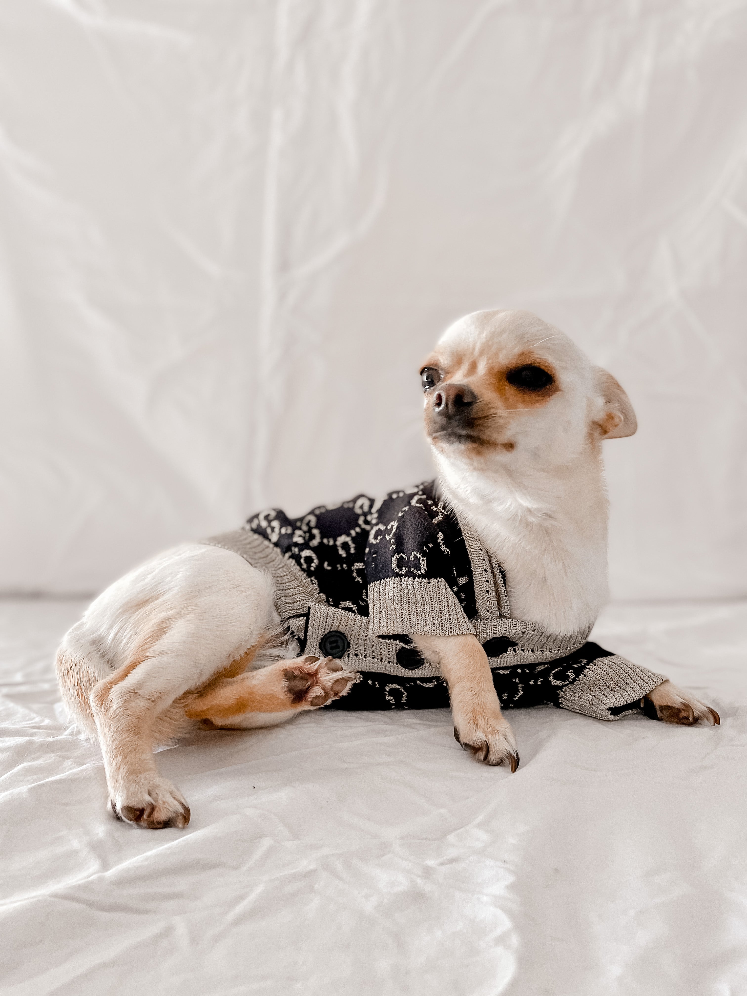 Pucchi Cardigan
