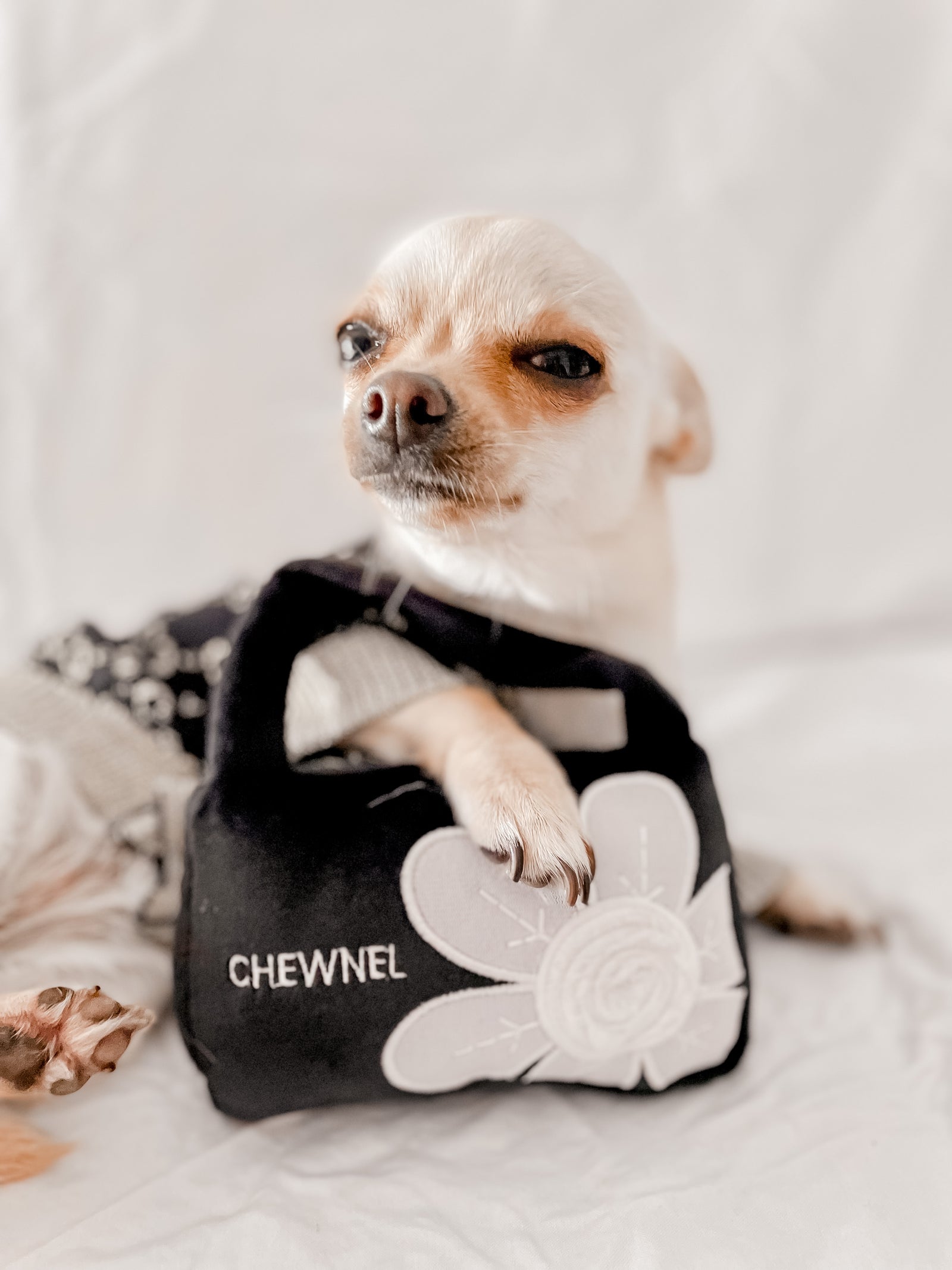 Chewnel Black Floral Toy Purse