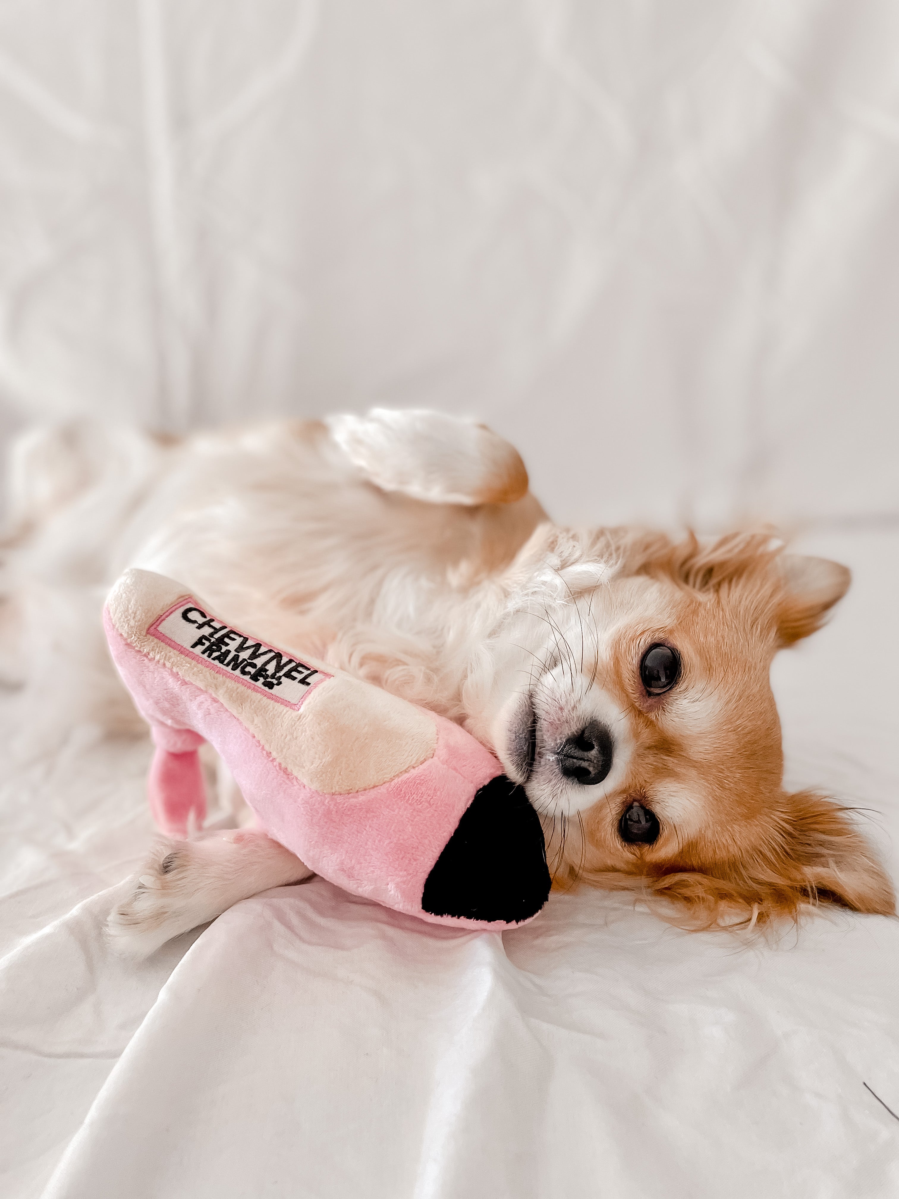 Chewnel Toy Heel