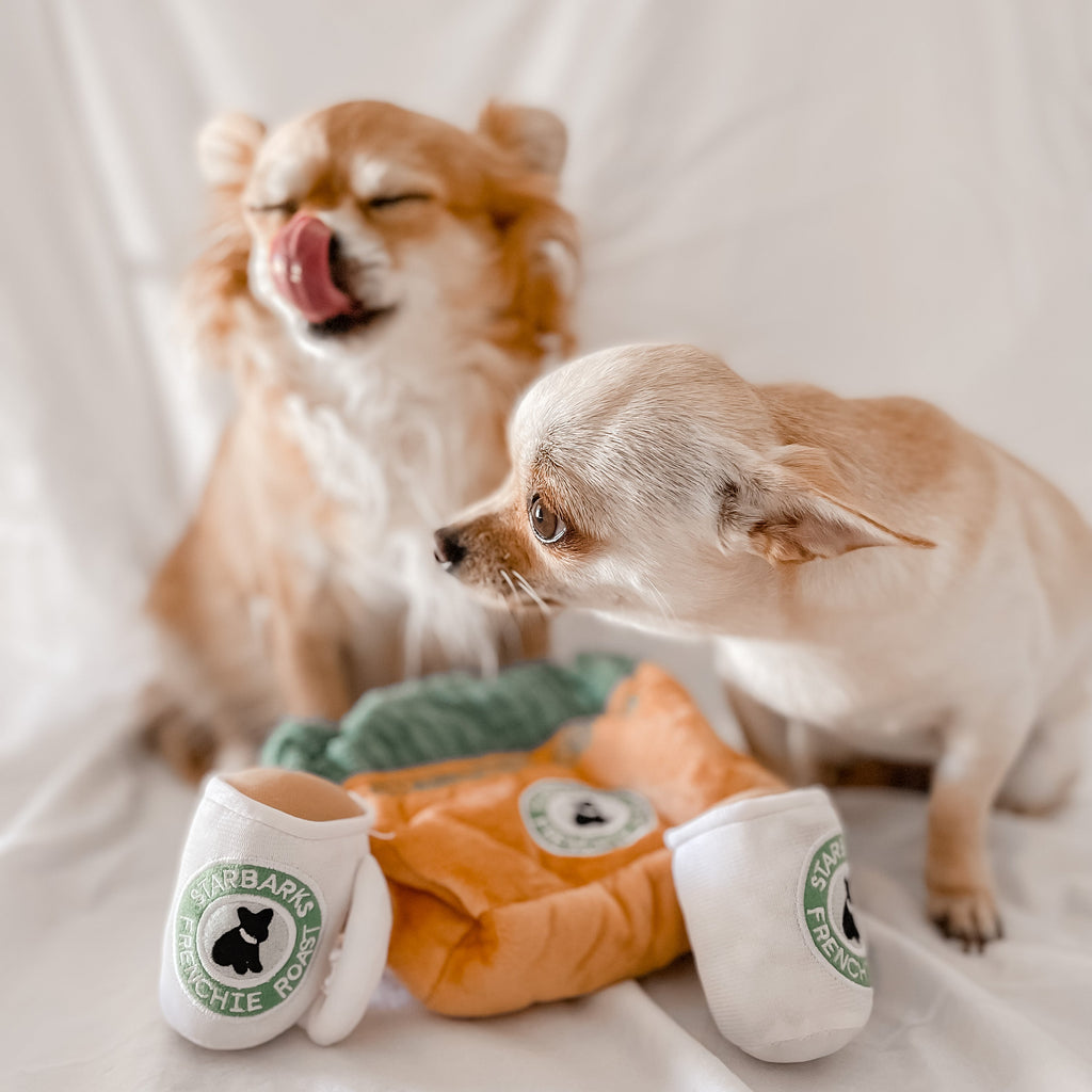 Starbarks Toy Set