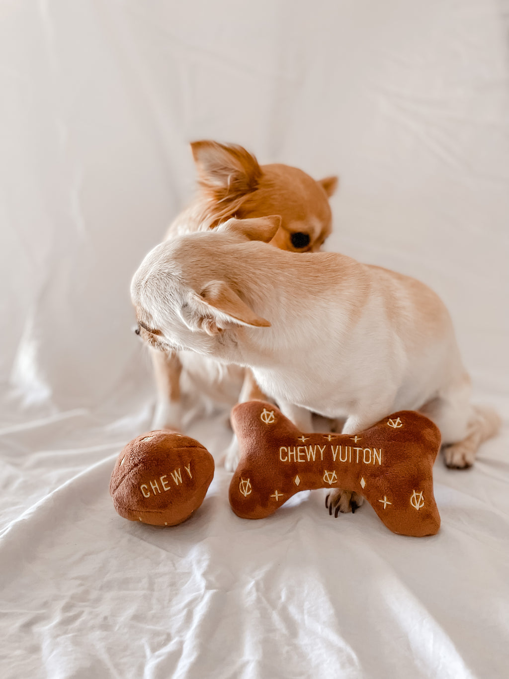 Chewy Vuiton Toy Ball