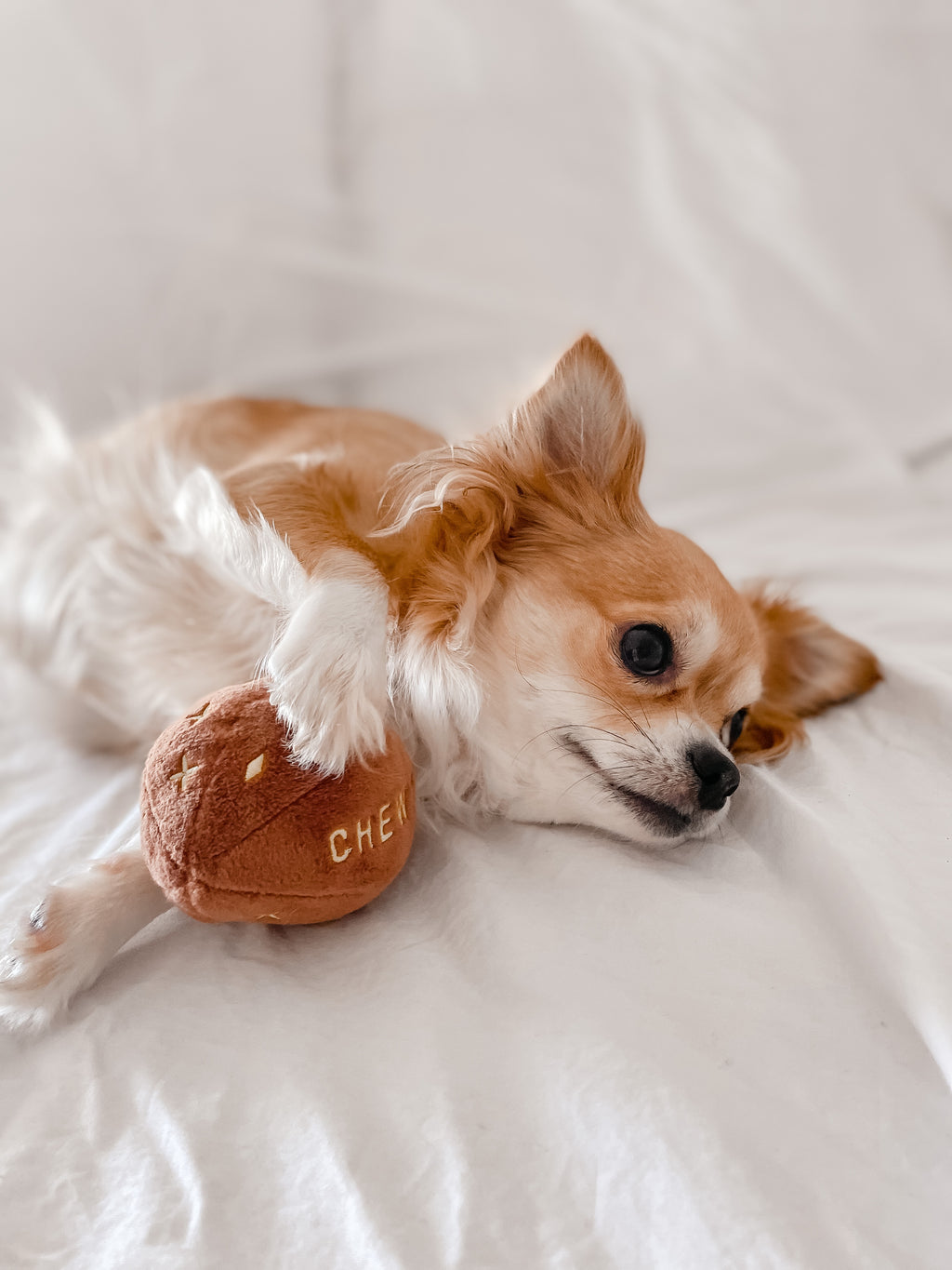 Chewy Vuiton Toy Ball