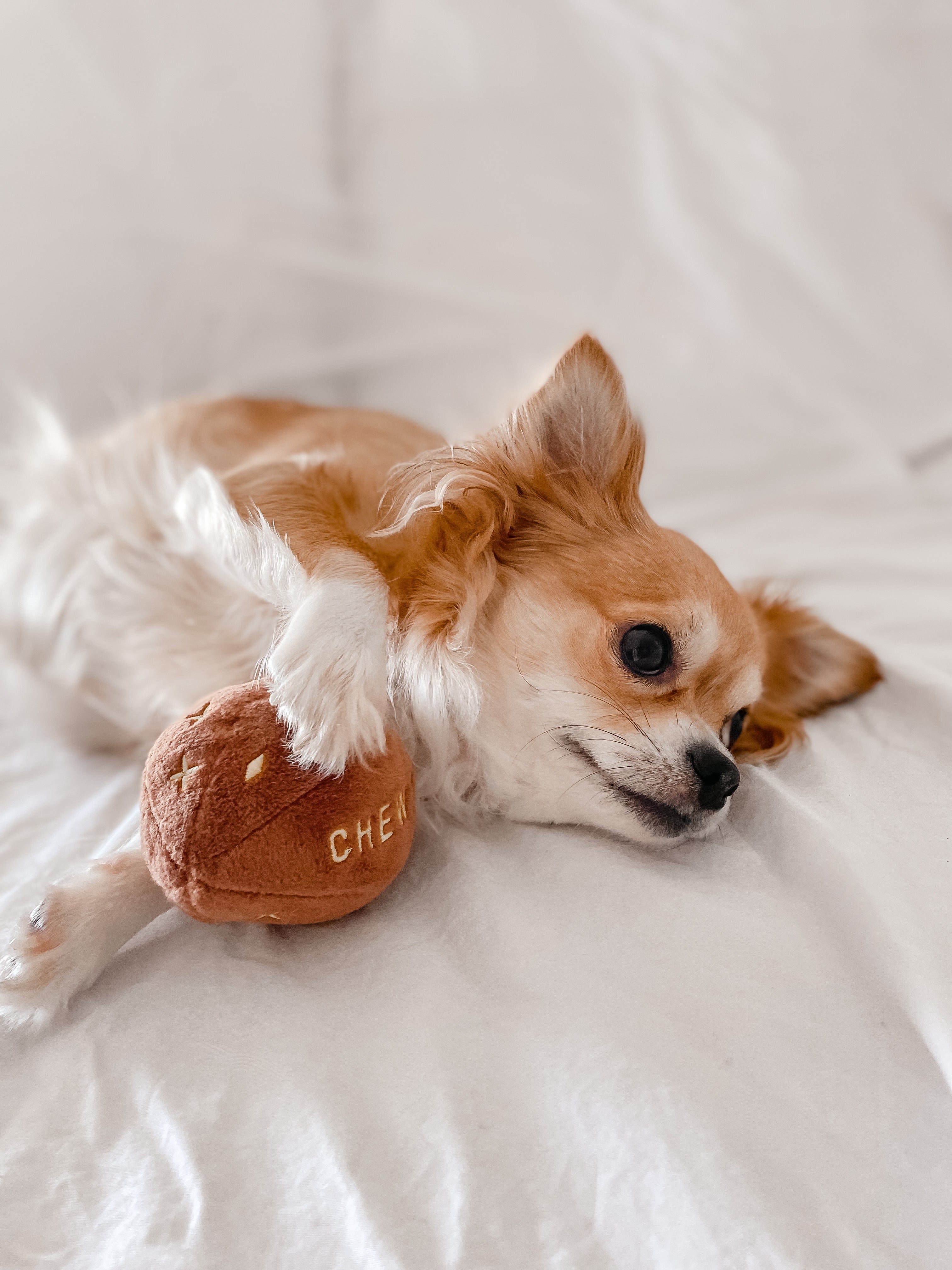 Chewy Vuiton Toy Ball