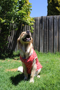 Pupreme Classic Tank