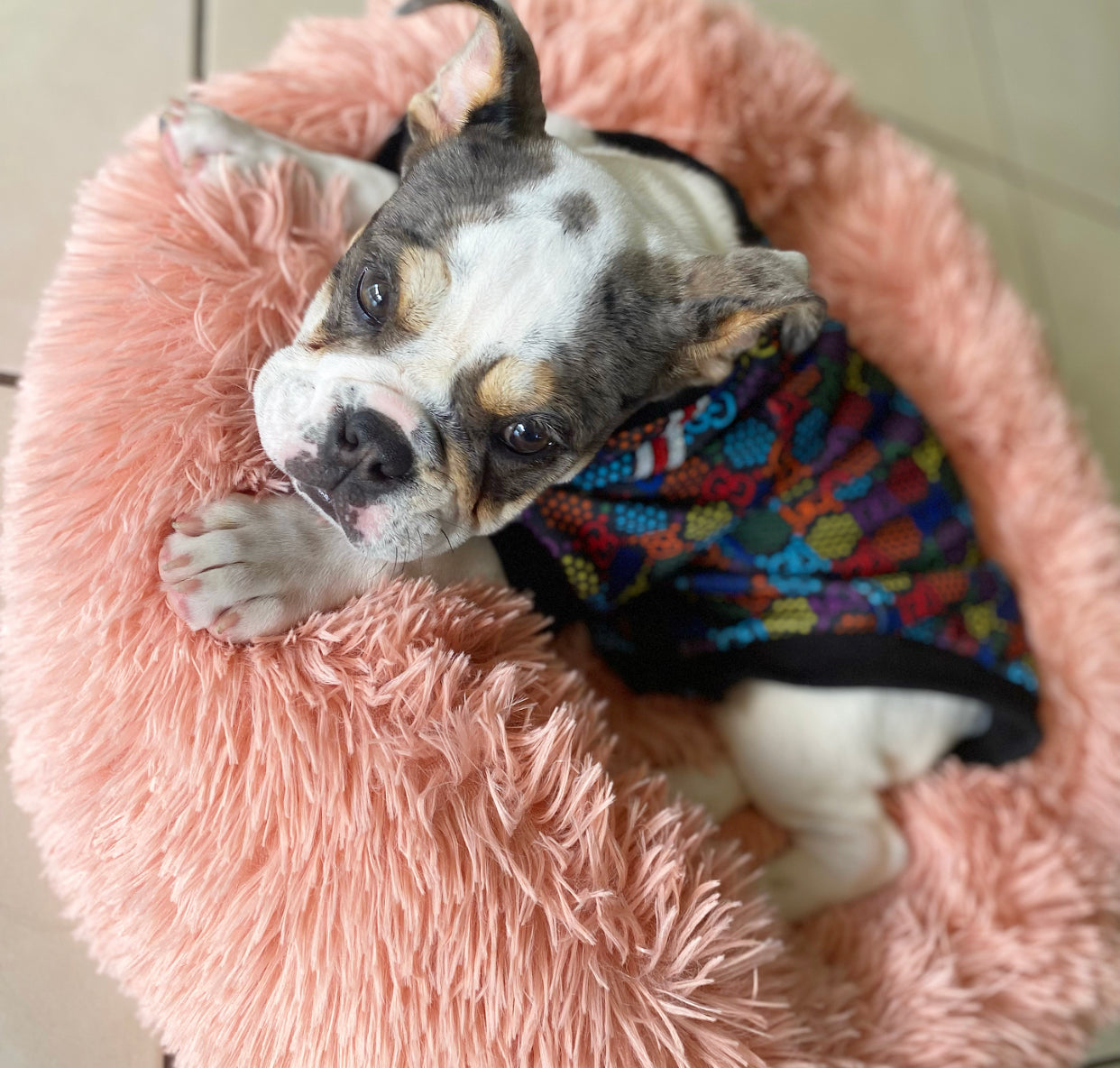 KOP Pet Calming Bed