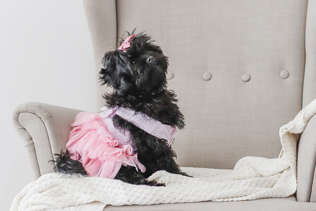 Tutu Dresses