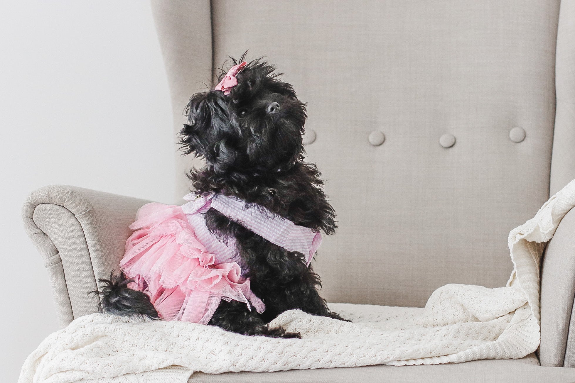 Tutu Dresses