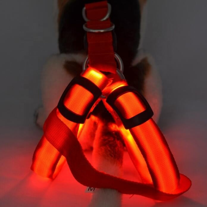 LED Pet Harness