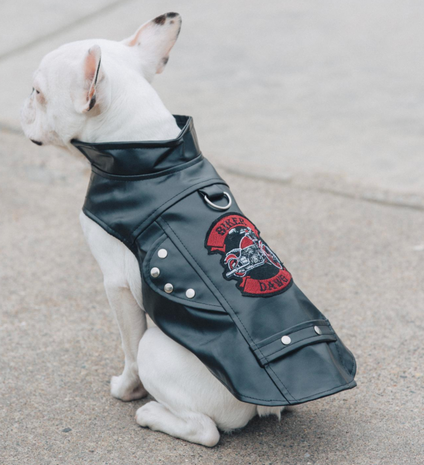 Biker Dawg Black Jacket