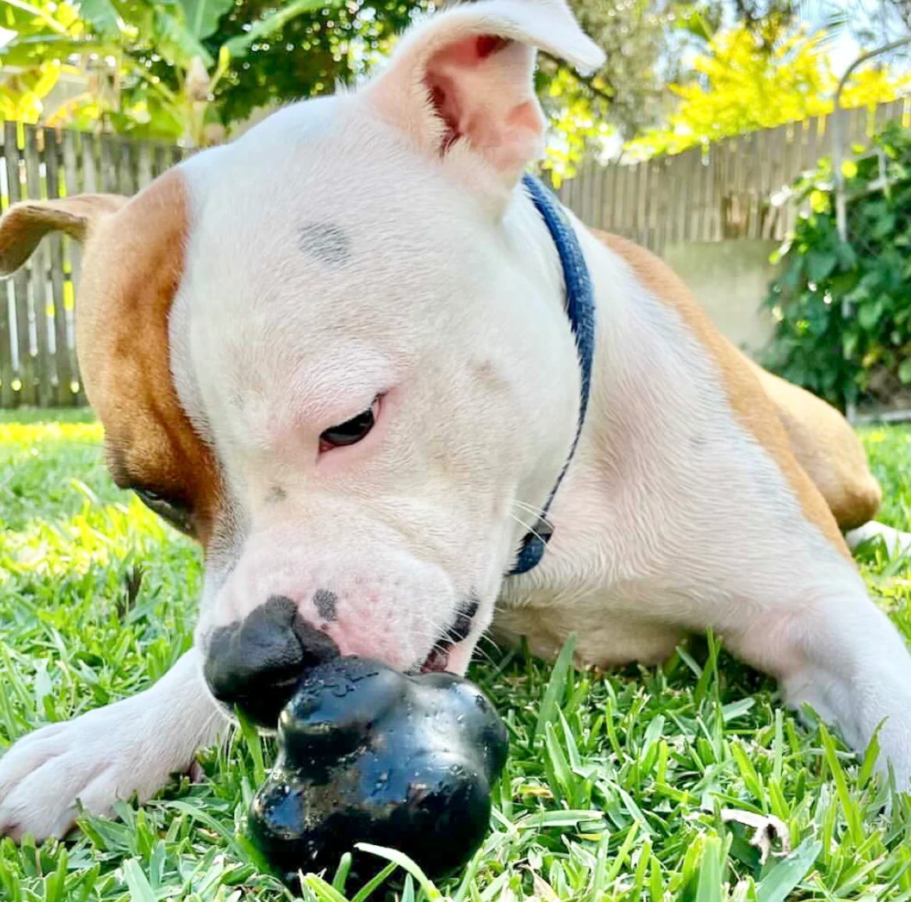 Magnum Extreme Tough Chew Ball