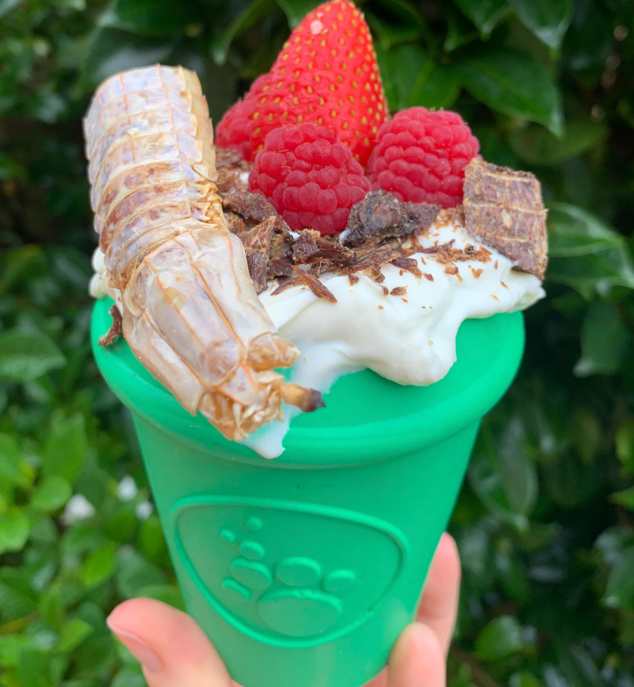 Soda Pup Coffee Chew Toy