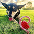 Heart on String Chew Toy