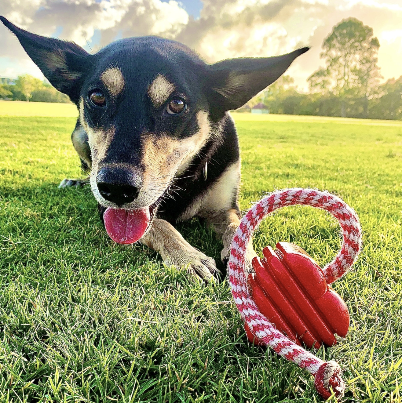 Heart on String Chew Toy