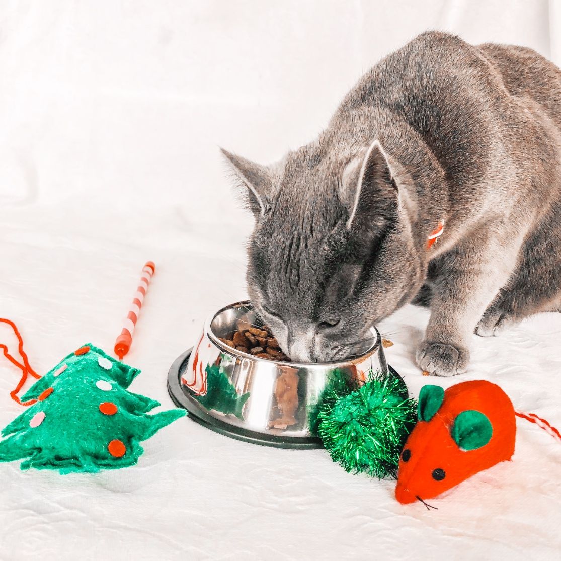 Kitty Christmas Stocking
