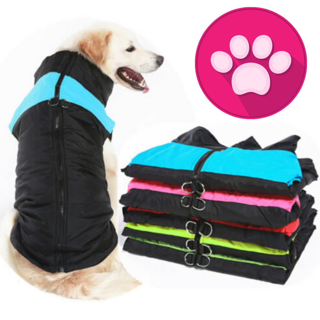 Coloured Harness Vest