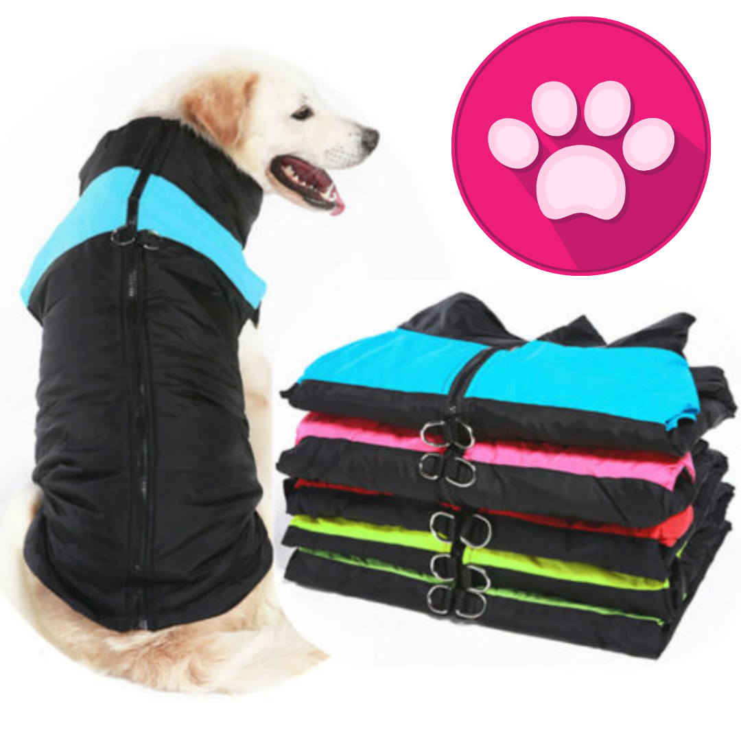 Coloured Harness Vest