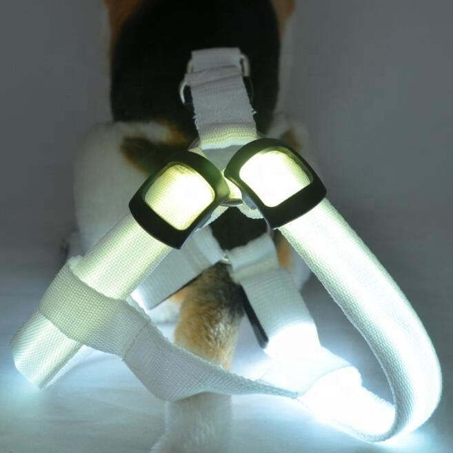 LED Pet Harness