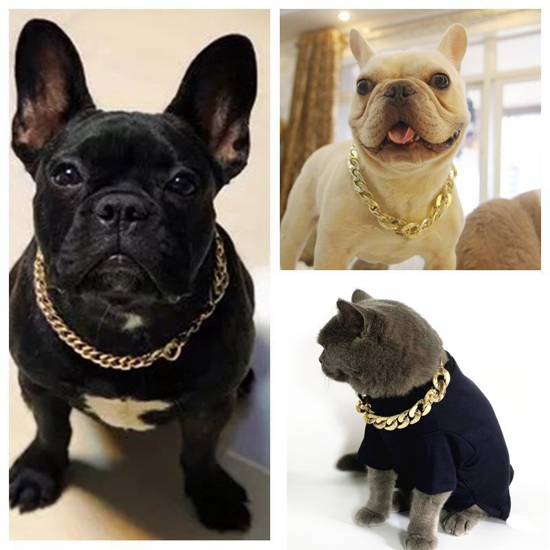 Plastic Chain/Collar