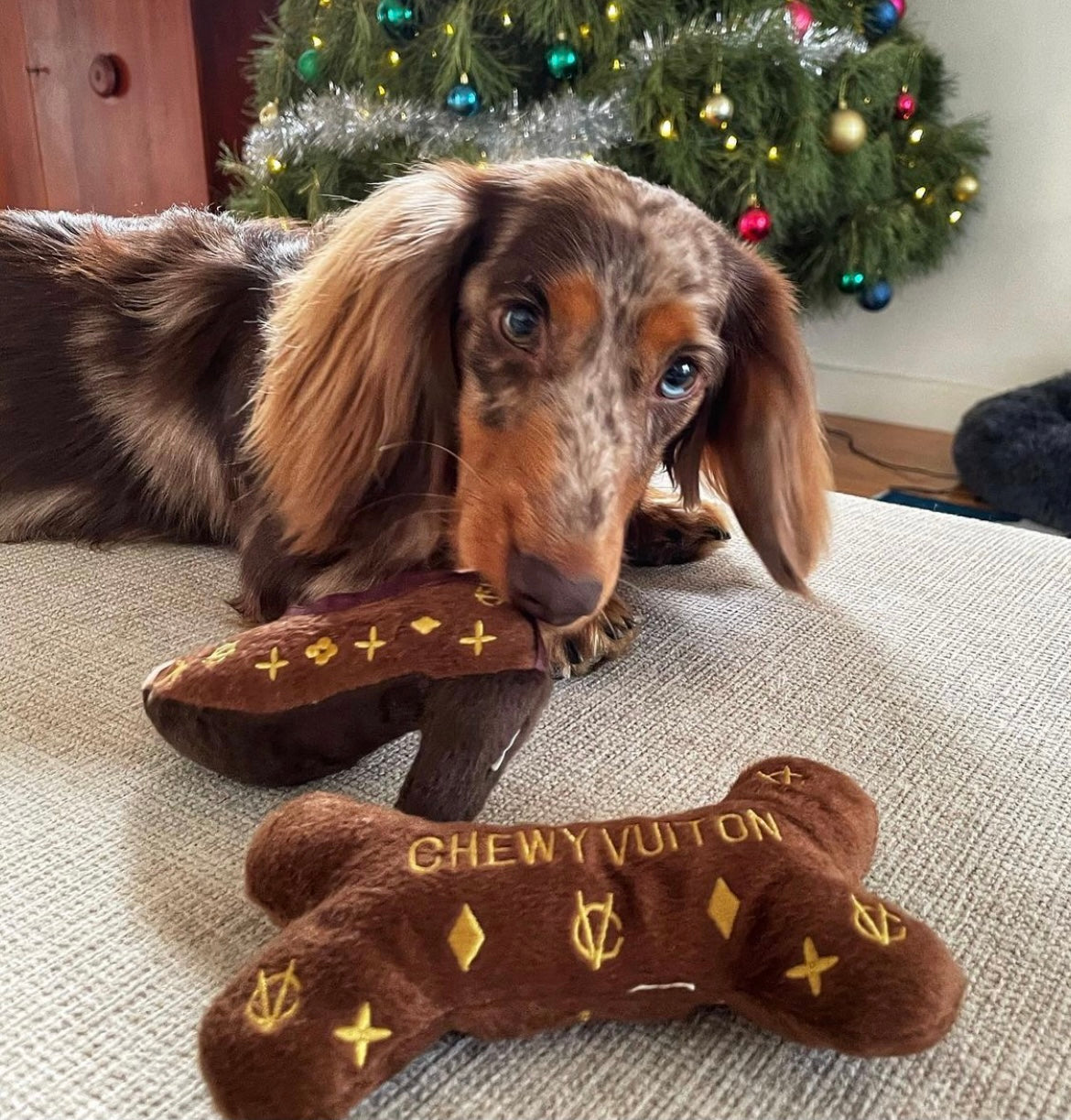 Chewy Vuiton Toy Bone - King of Paws