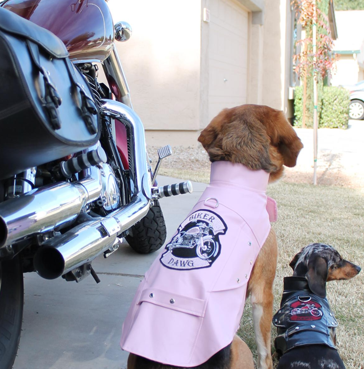 Biker Dawg Pink Jacket