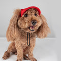 Pet Hats/Caps