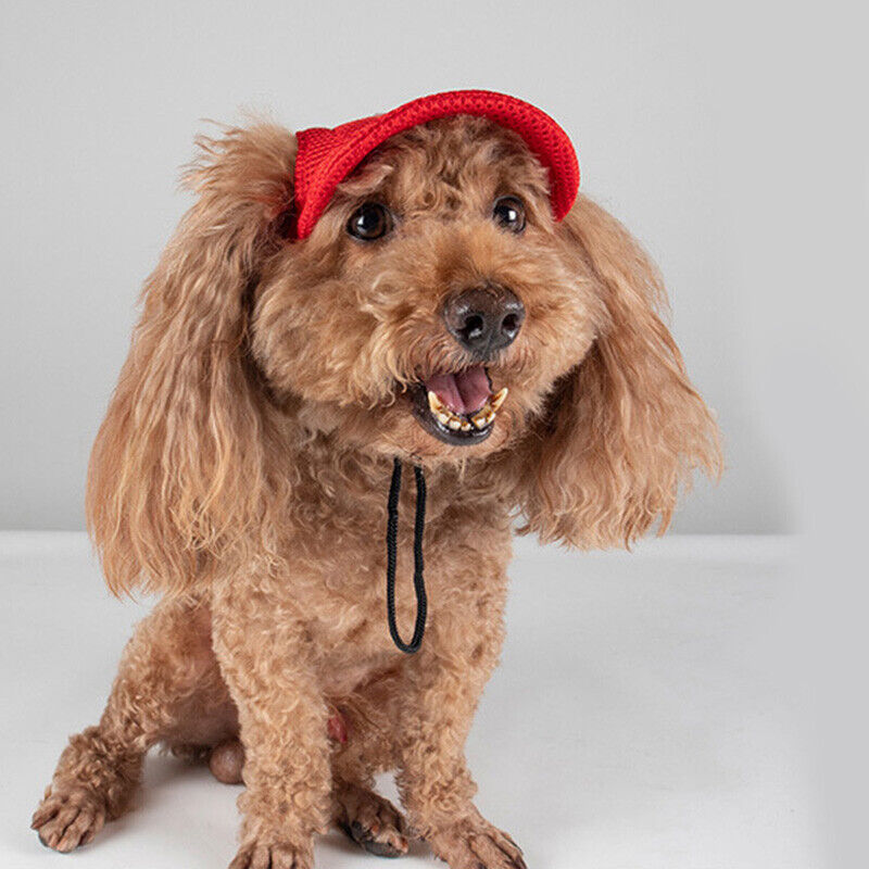 Pet Hats/Caps