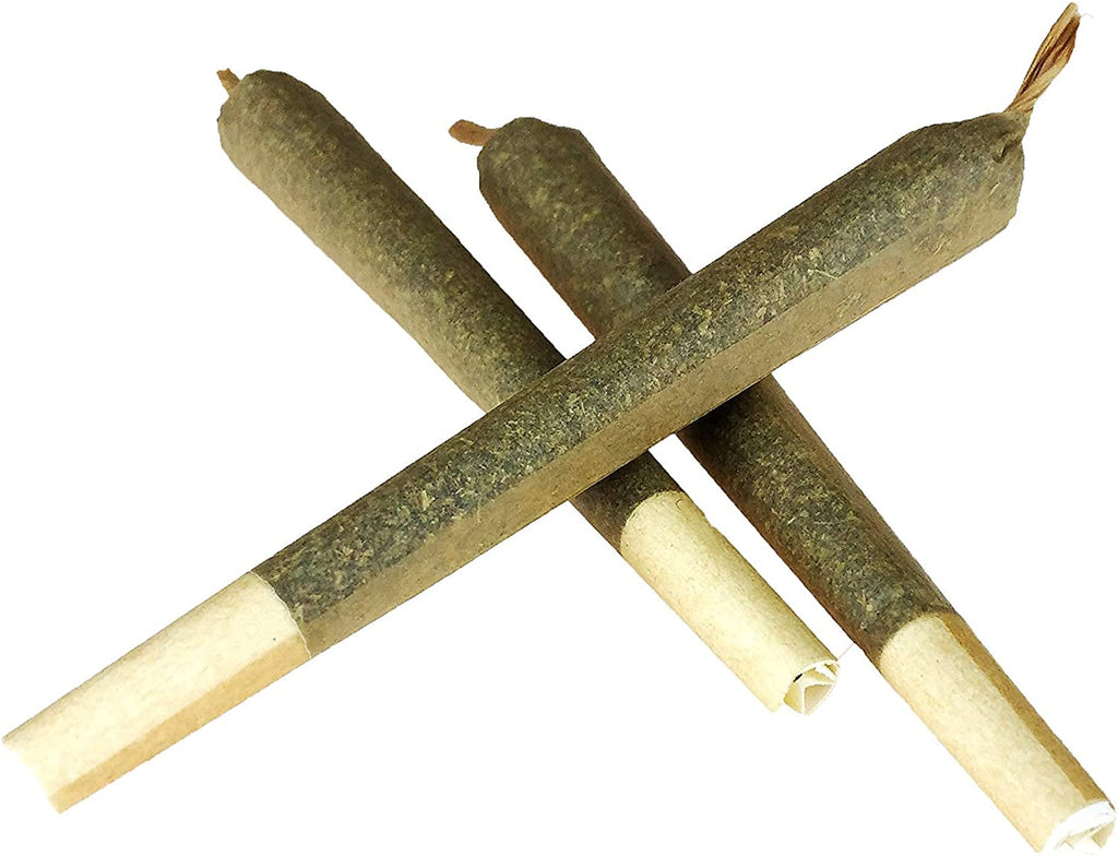Catnip J's