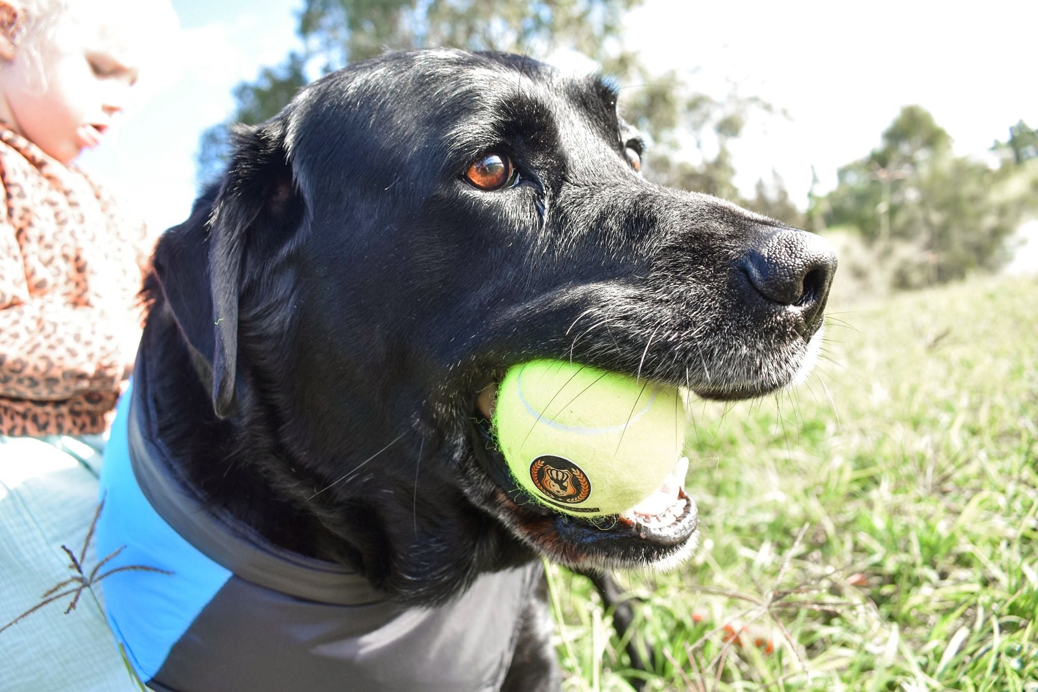 KOP Tennis Ball