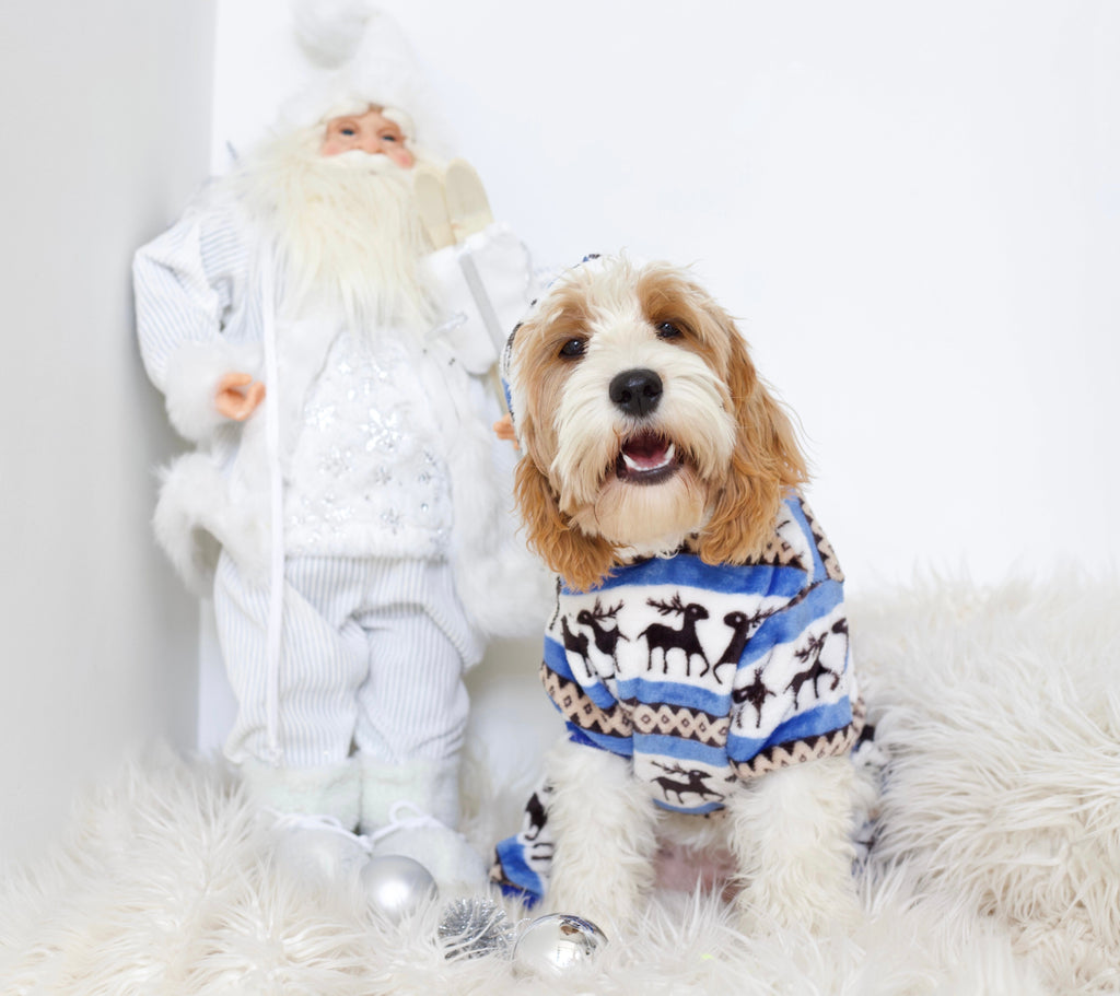 Pj Onesie