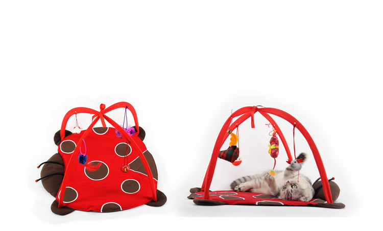 Cat Play Gym