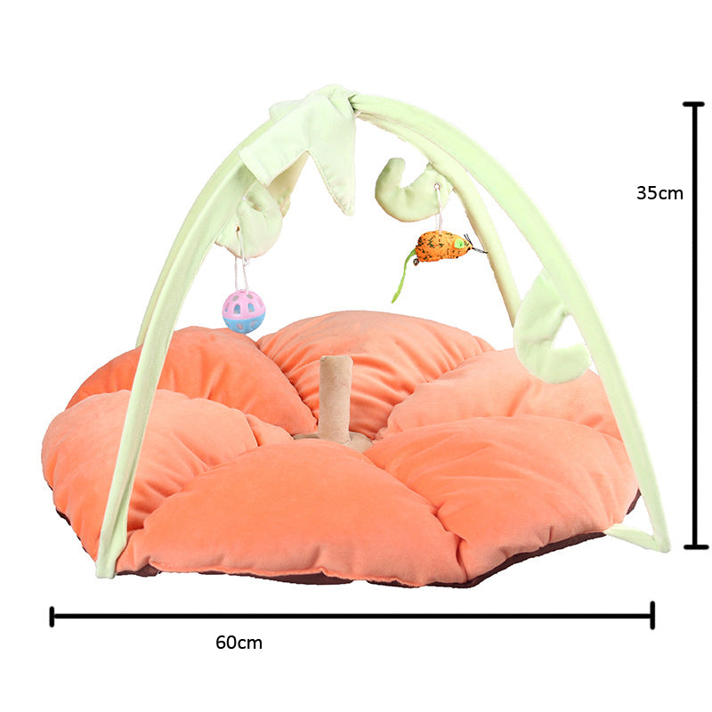 Cat Play Gym