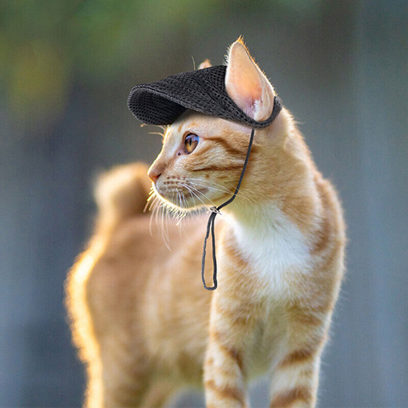 Pet Hats/Caps