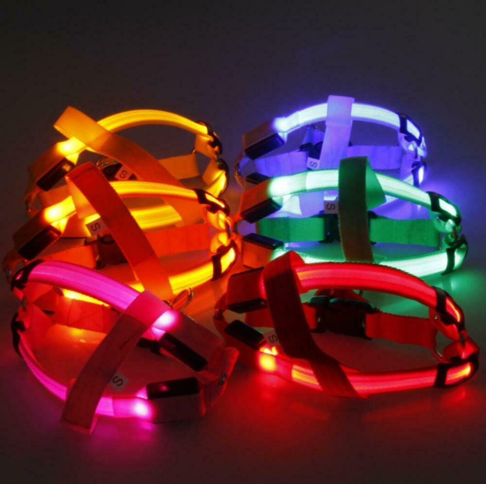 LED Pet Harness