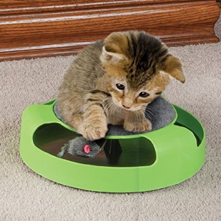 Interactive Round Cat Board
