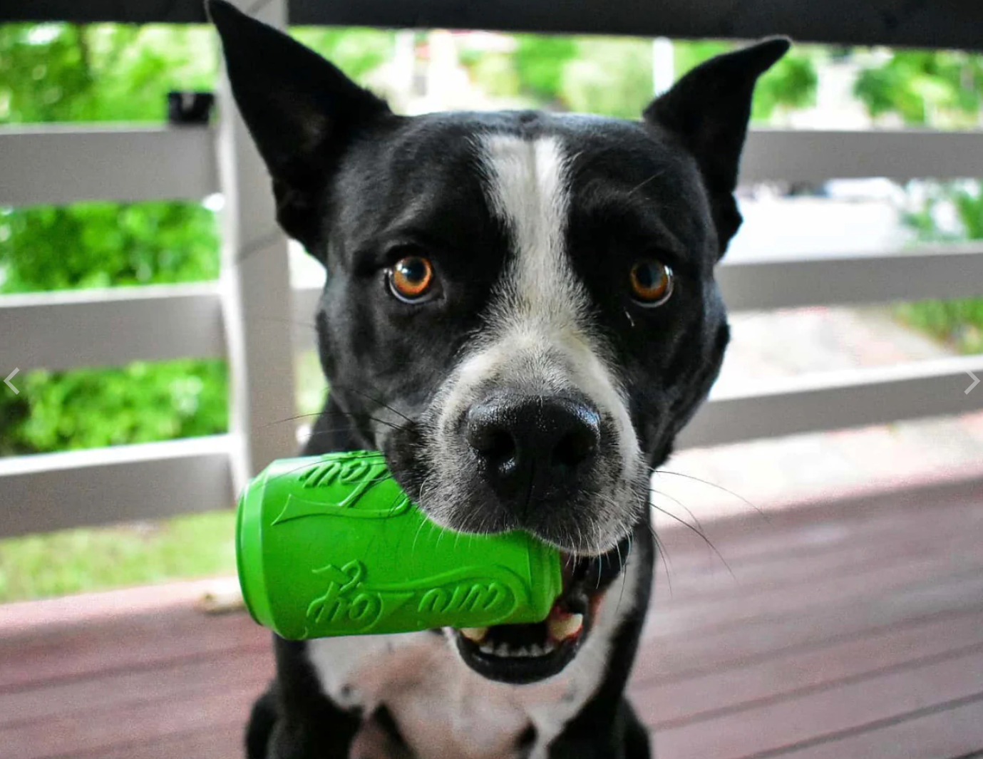 Soda Can Tough Chew Toy