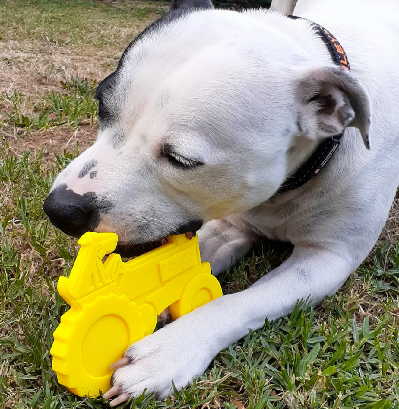 Tractor Tough Chew Toy